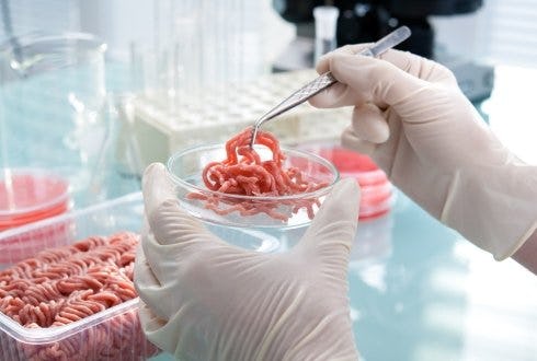 Food Technology online helpt technologen bij te scholen