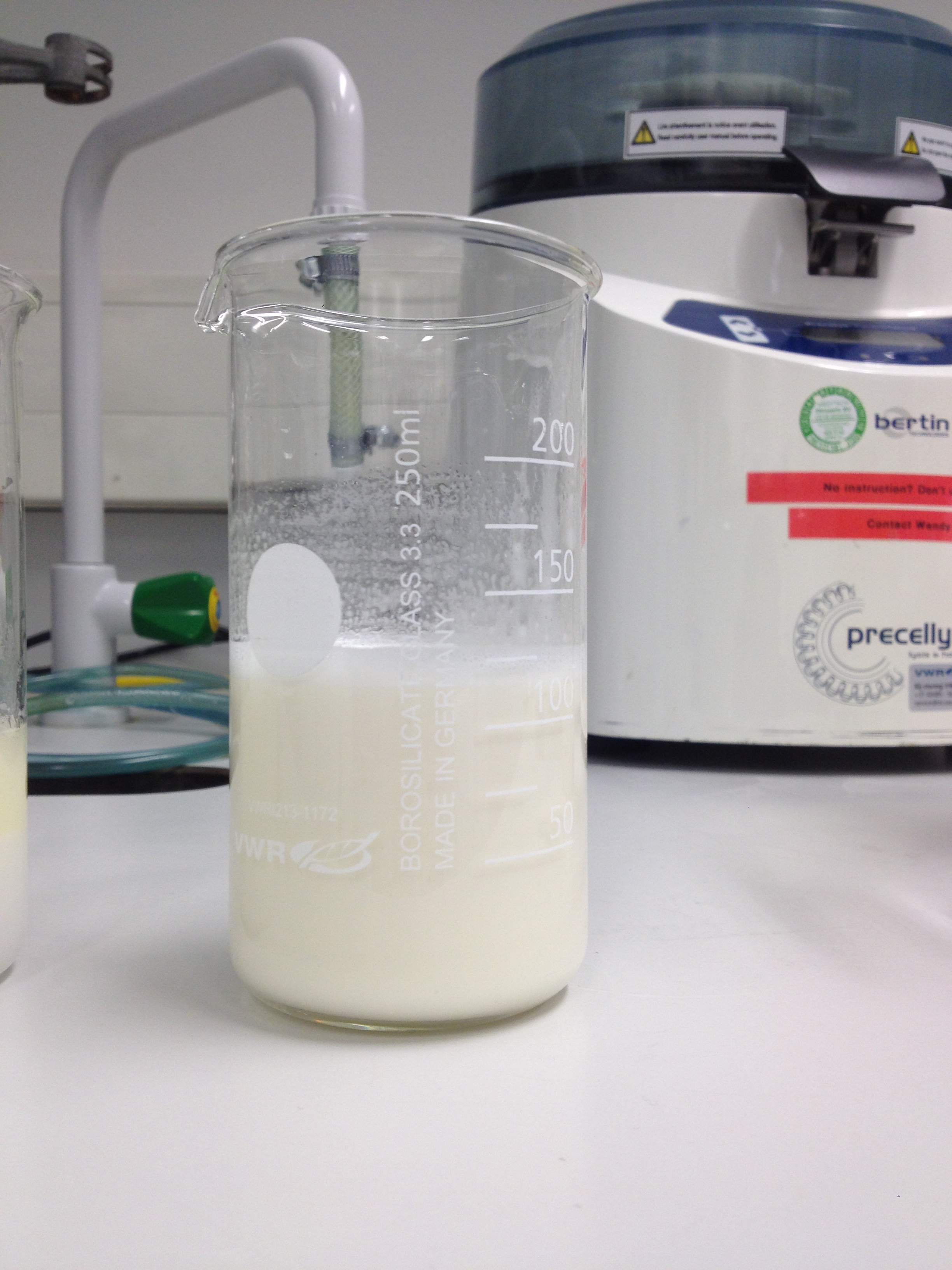 FUMI Emulsification after.JPG