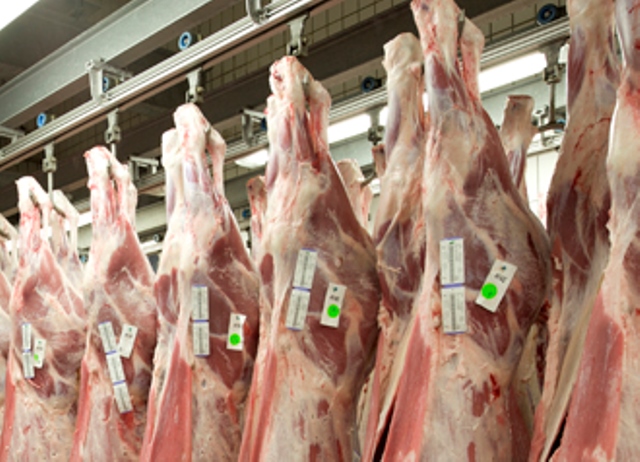 Foto ter illustratie.