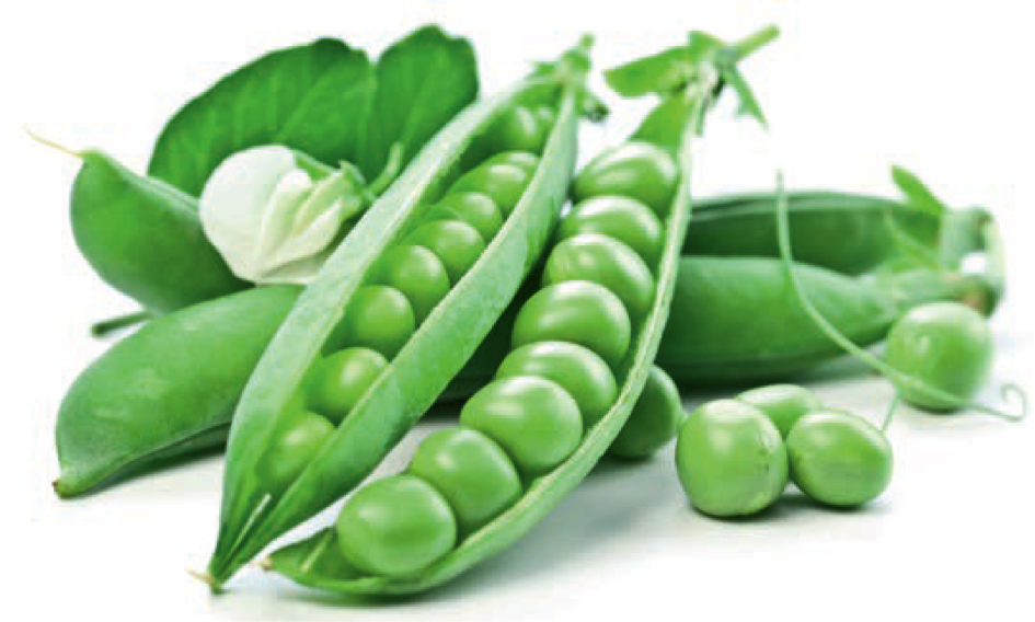 Beyond Meat stelt met partnerschap Roquette aanvoer erwteneiwit veilig