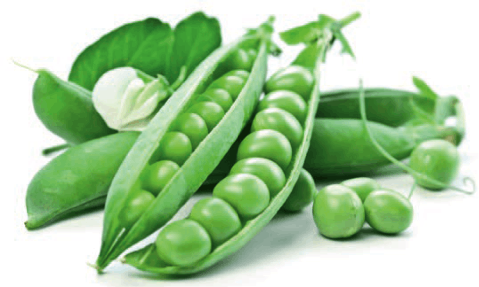 Beyond Meat stelt met partnerschap Roquette aanvoer erwteneiwit veilig