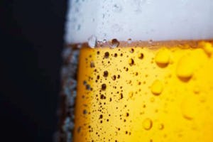 koud bier