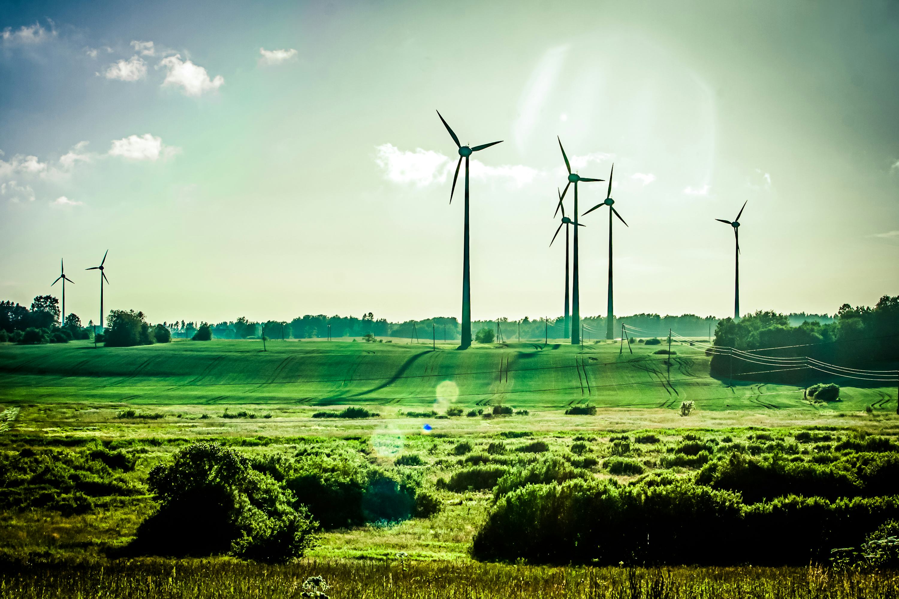 Hoe duurzaam is groene energie?