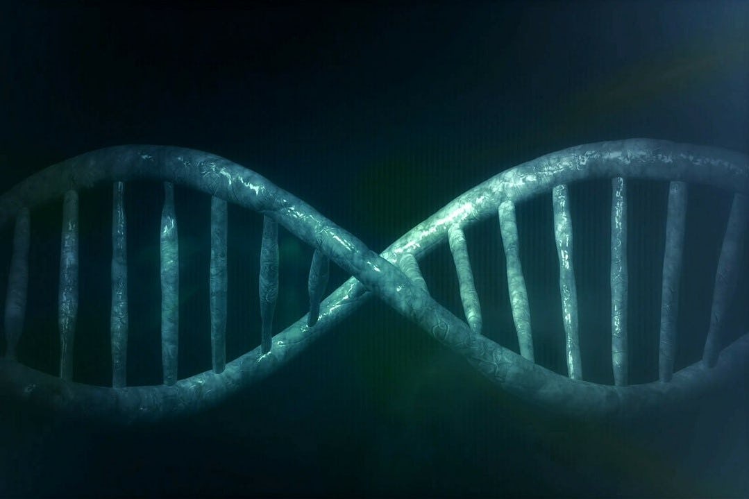 NVWA legt uit: 'WGS speelde nooit eerder zo'n grote rol'