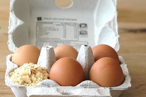 Grote investering voor Nederlandse producent van plantaardig kippenei-eiwit