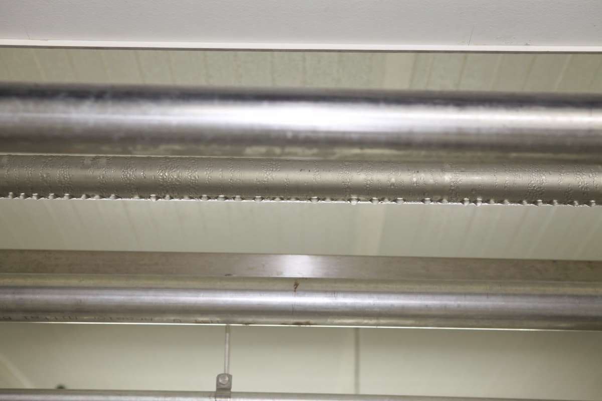 Besmette druppels kunnen ontstaan door condensatie op koele plekken. Dit door een verkeerde manier van schoonmaken.