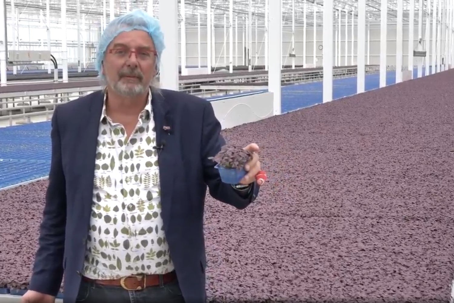 Cressen-koning roept chefs op om cressen te komen oogsten