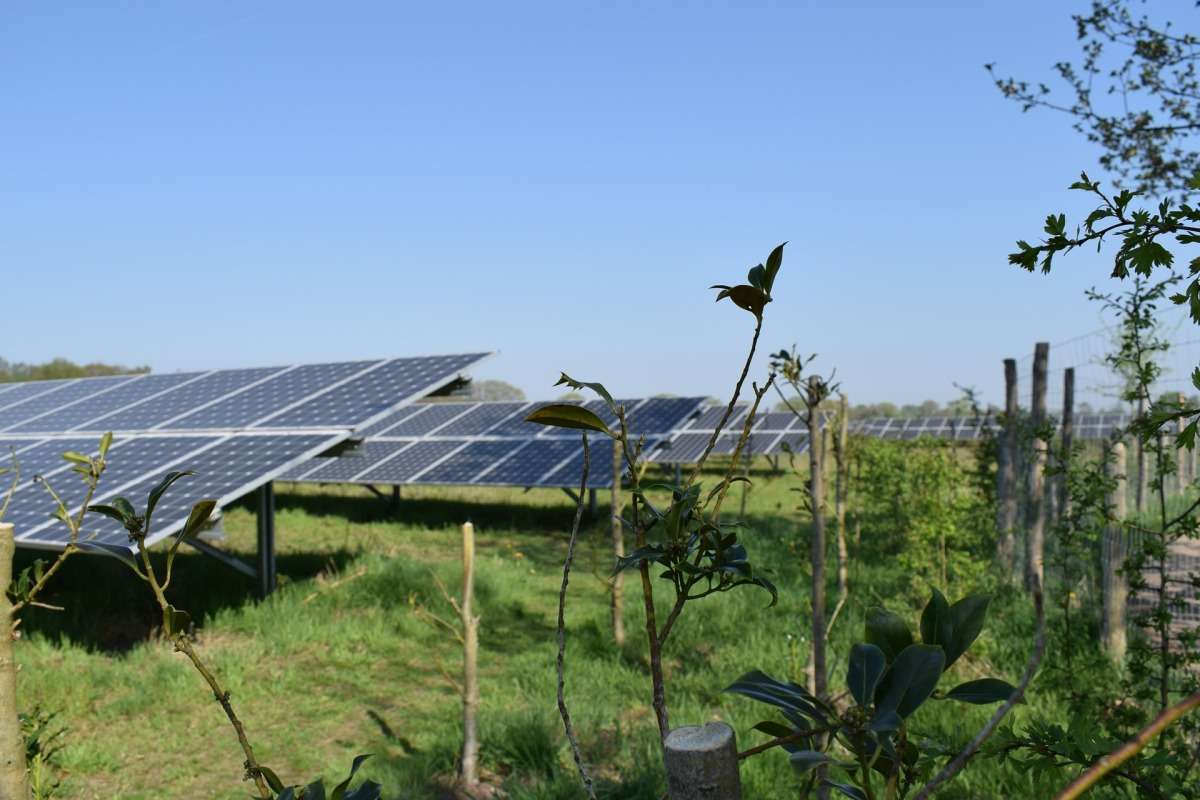 Afbeelding van KiesZon