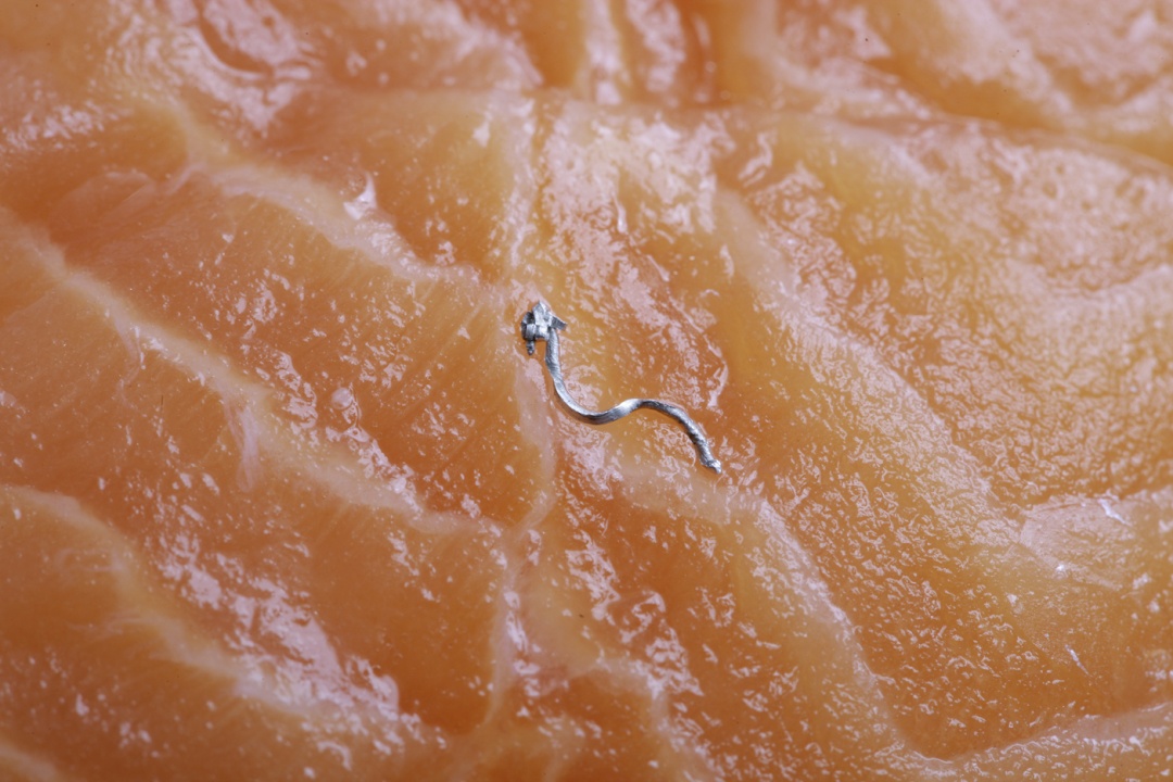 Productinspectie: test voordat u investeert