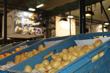Het productieproces van aardappel tot het verpakken en invriezen van kroketjes en pommes duchesses is volledige geautomatiseerd.