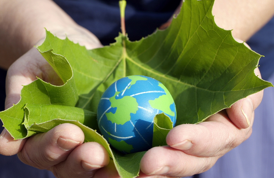 person holding a leaf with small earth