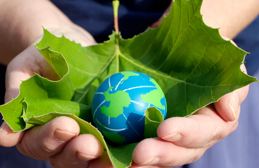 person holding a leaf with small earth