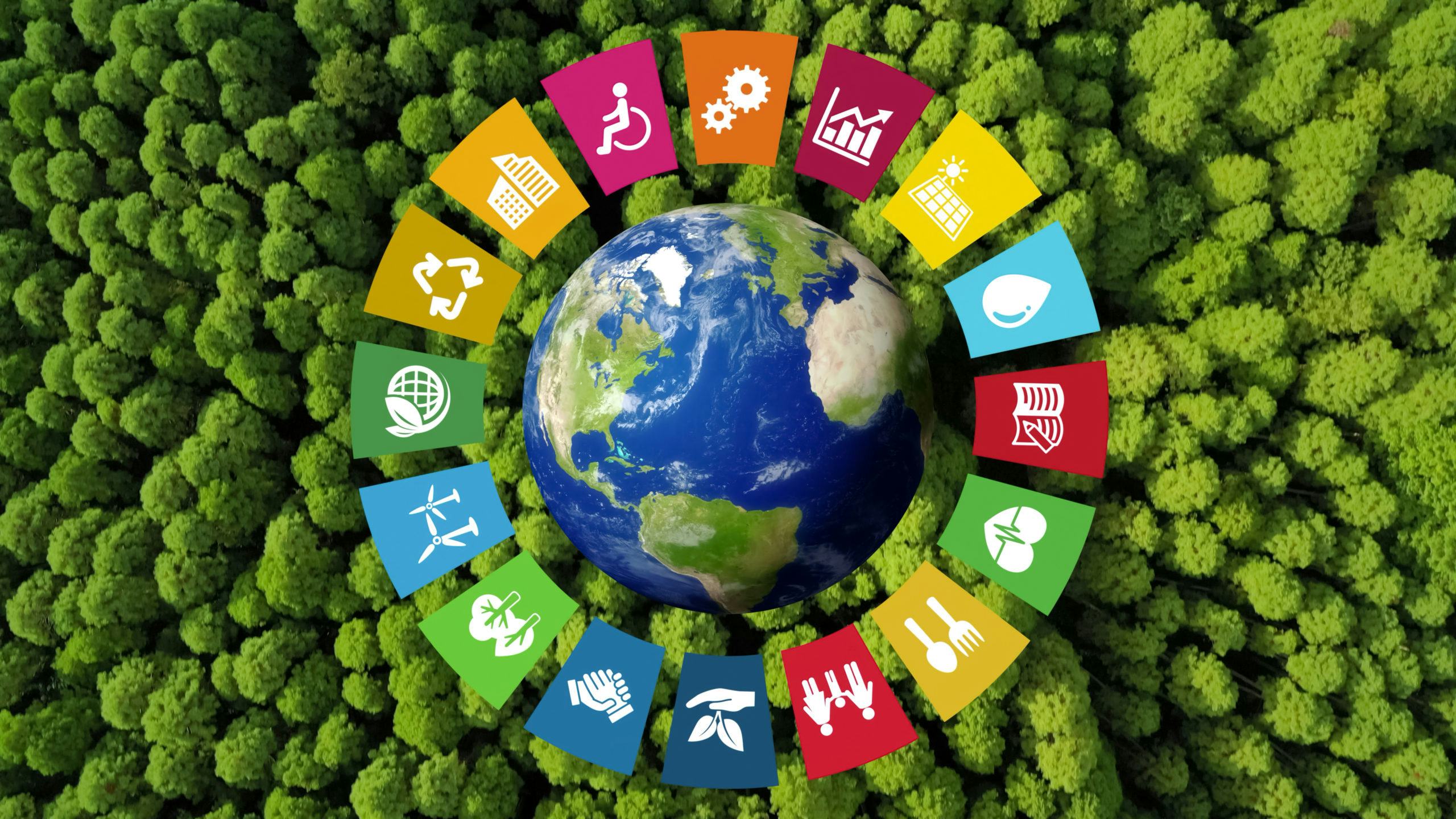 Sustainable Development Goals: zo ga je met duurzaamheid in de foodsector aan de slag