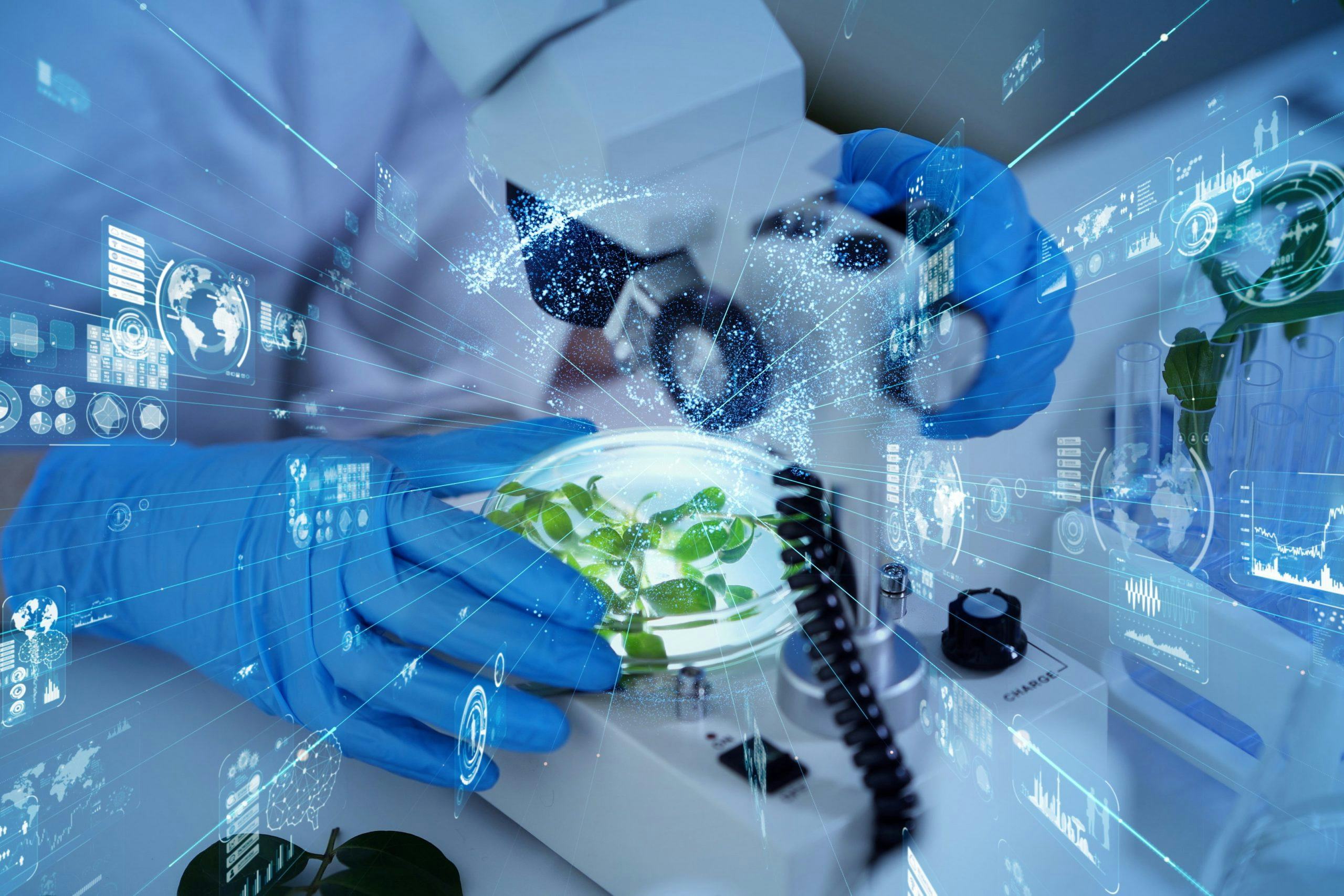 Hoe technologie in de voedselketen voedselverspilling en problemen met voedselveiligheid tegengaat