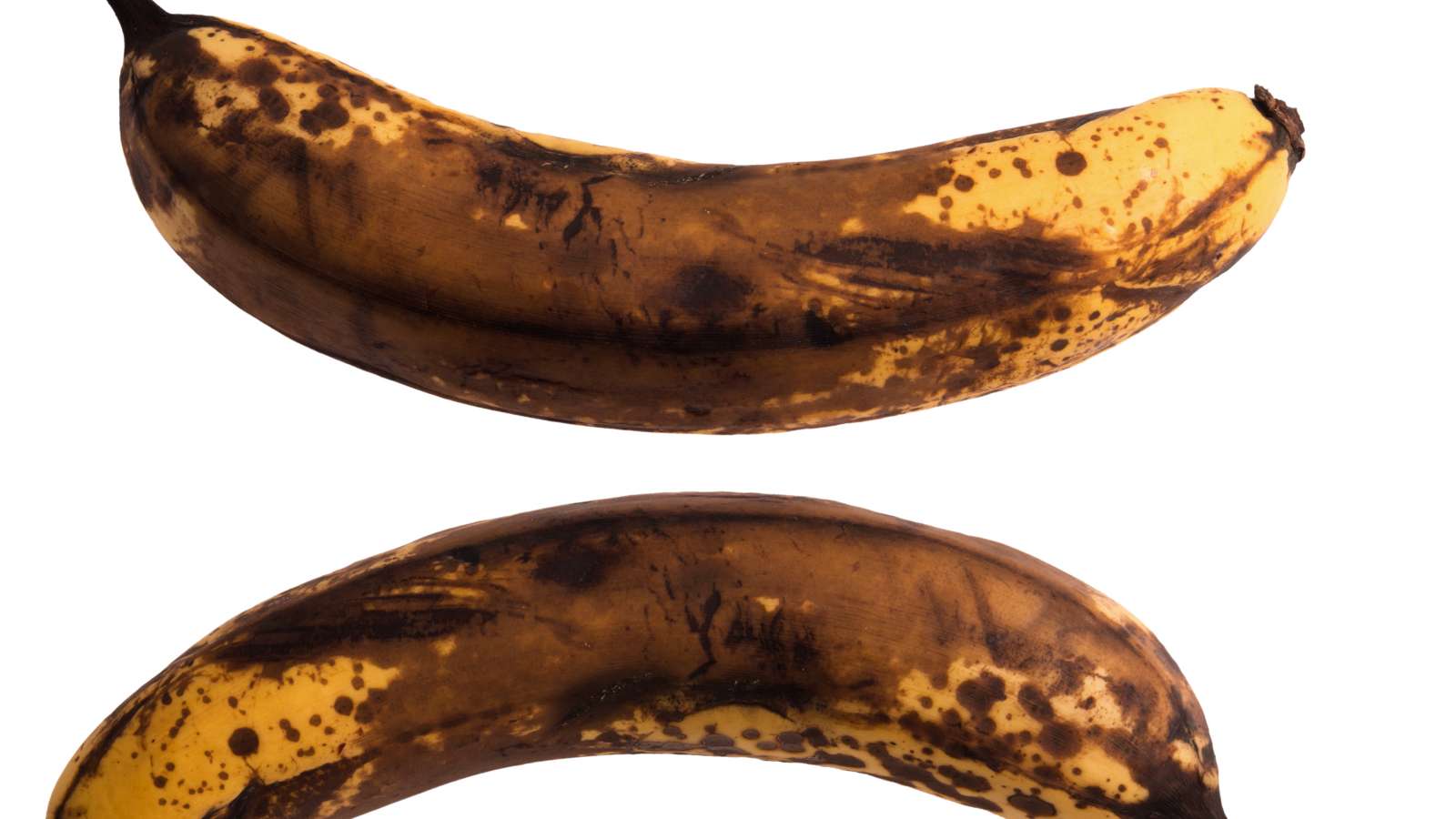 Voedselverspilling tegengaan? 3 startups - Falafval, Sunt en Krush - vertellen hoe tijdens Food Future Update