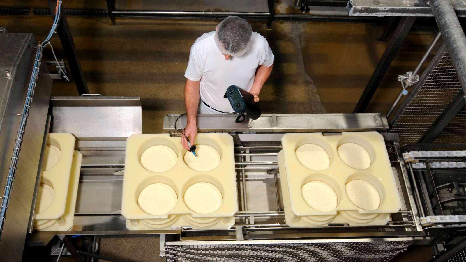 Zuivelsector staat onder druk: marges zakken door hogere inkoopkosten