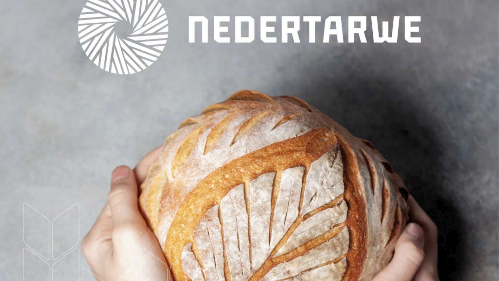 Royal Koopmans komt met eigen graan van Nederlandse bodem: Nedertarwe