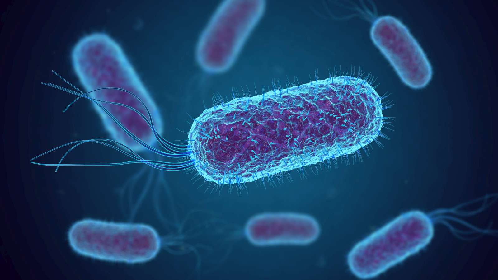 30-08-2022 | Cursus Levensmiddelenmicrobiologie