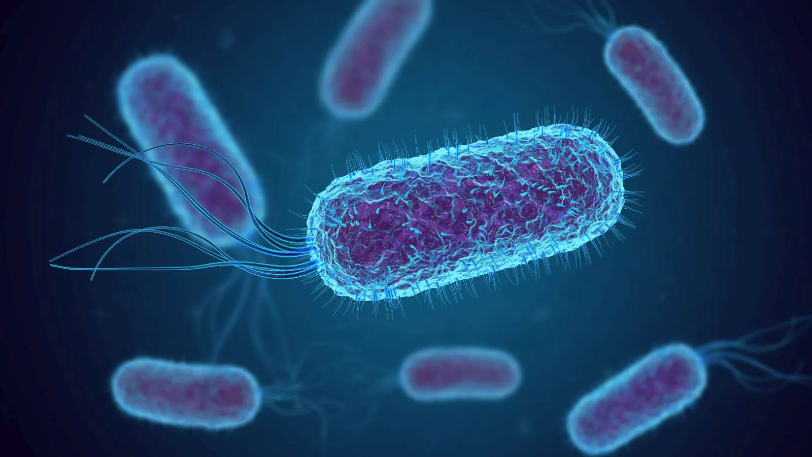 30-08-2022 | Cursus Levensmiddelenmicrobiologie