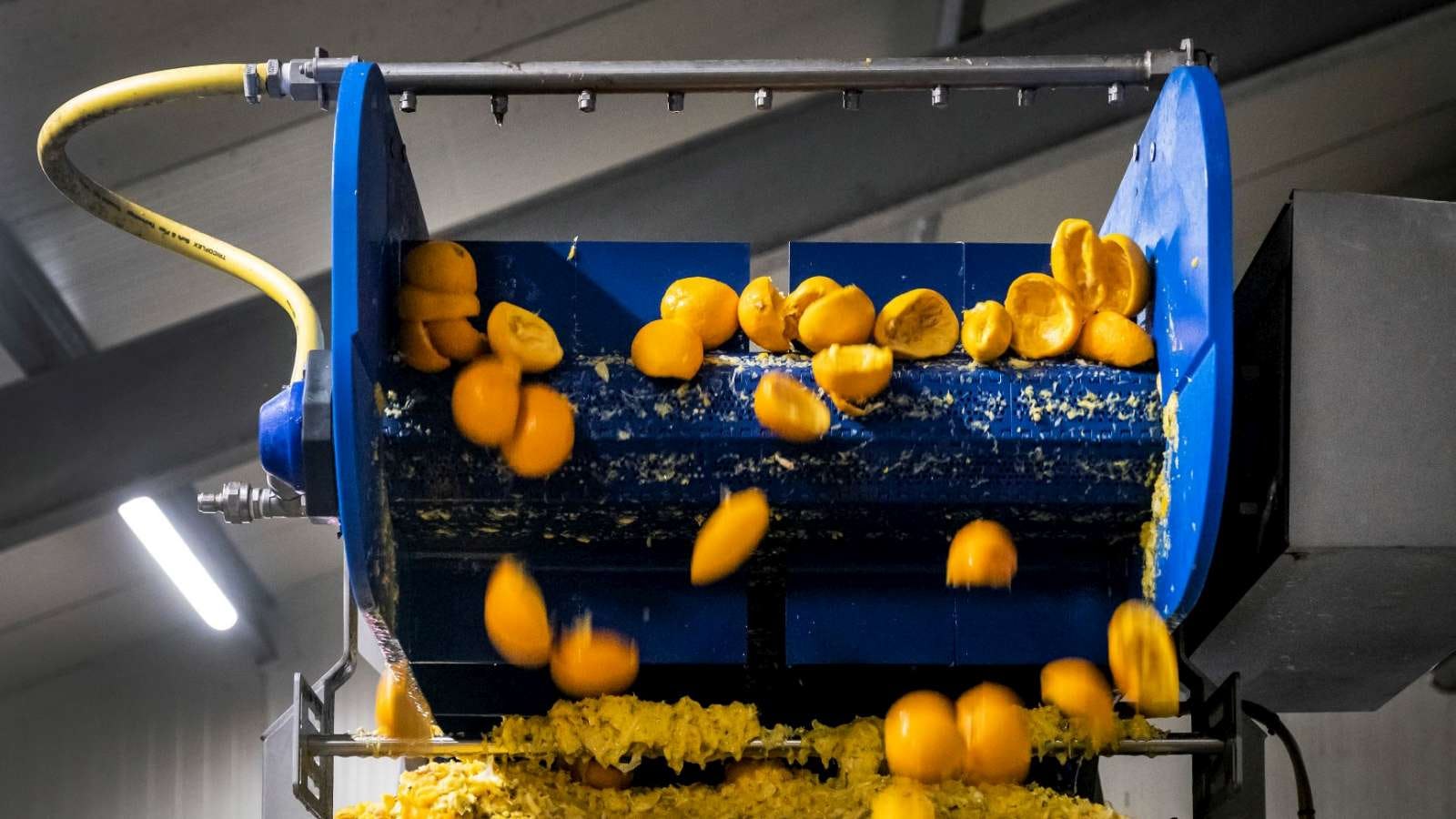 Lees de hele reportage: