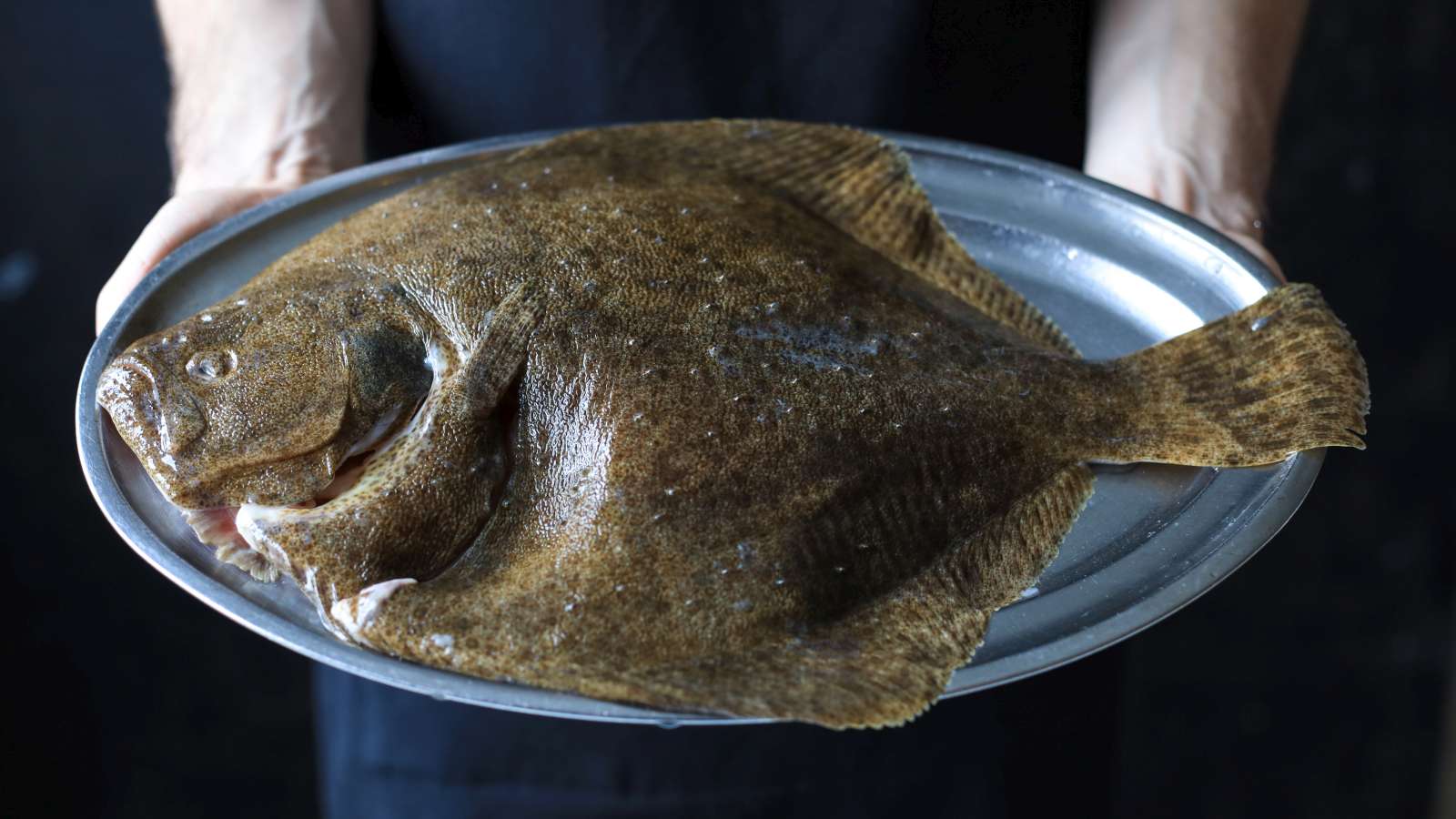 Seafarm krijgt eerste ASC-certificering ter wereld voor platvis