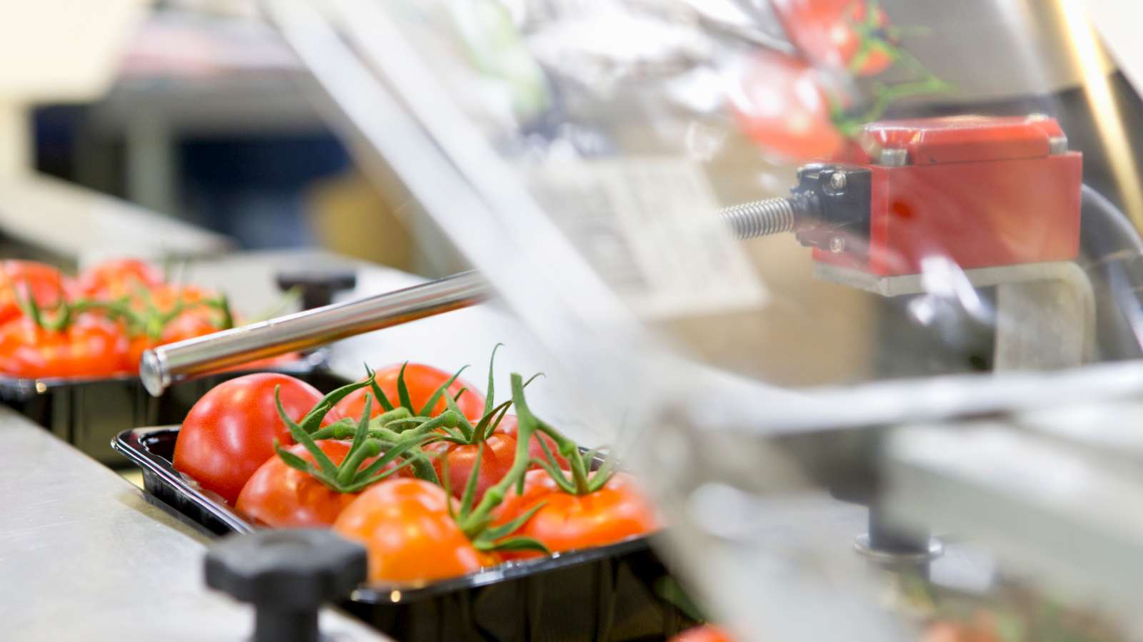 Volgens experts zijn de huidige sancties slechts het begin van de economische pijn