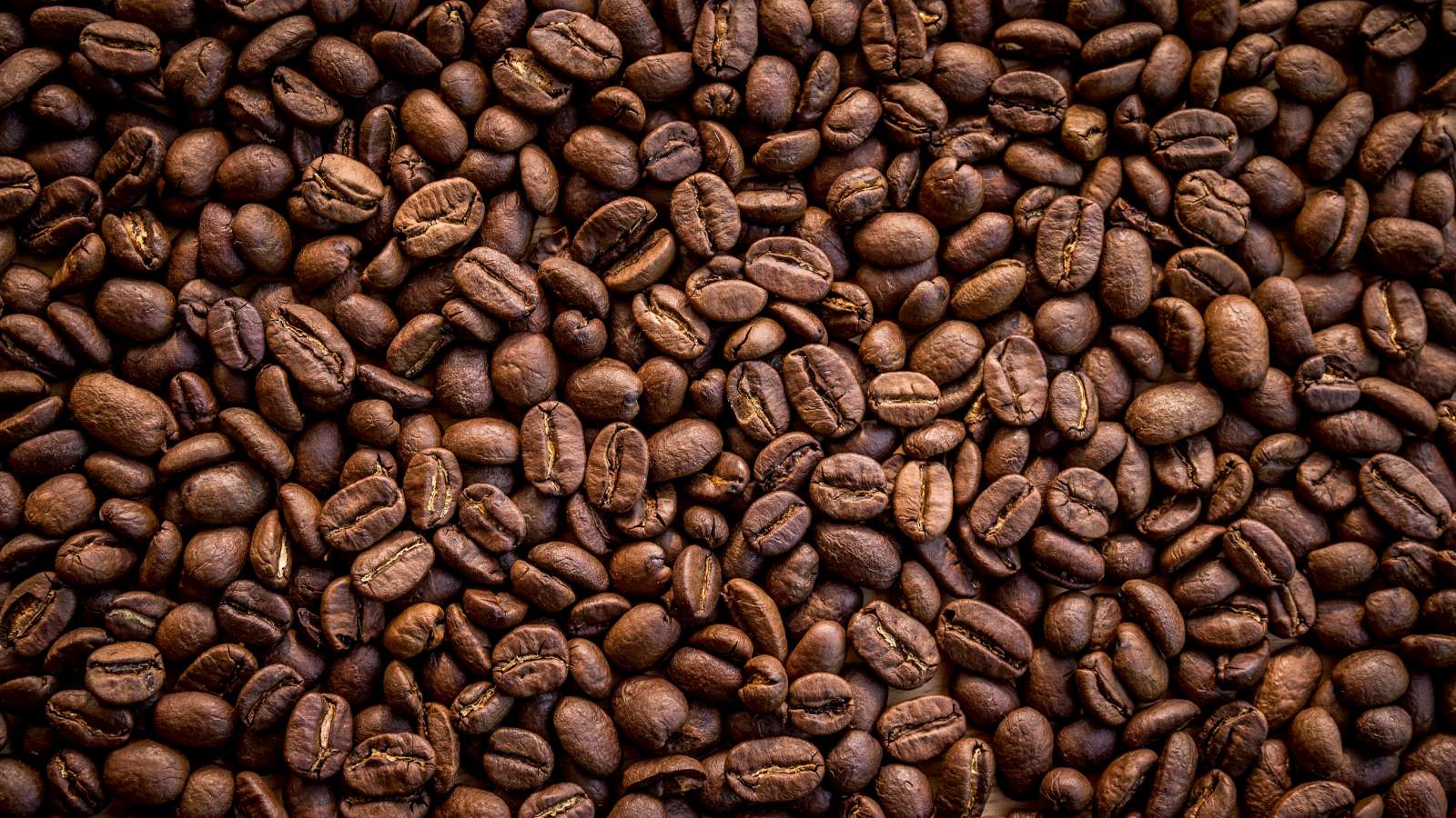 Tool berekent CO2-uitstoot van hele koffieketen