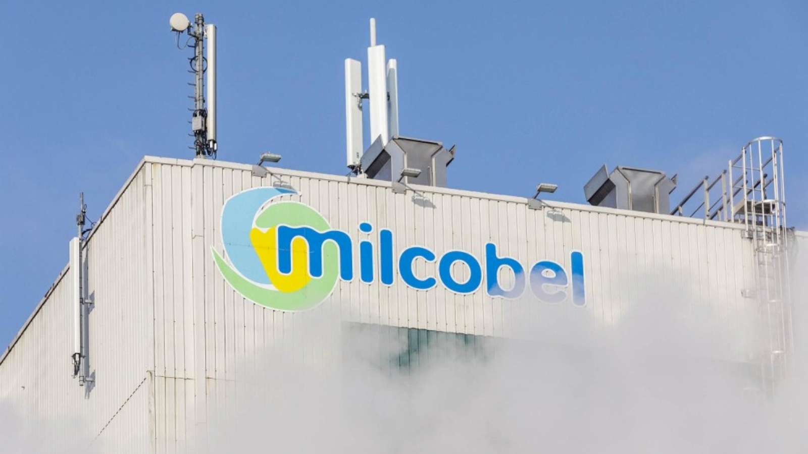 Geblokkeerde kazen Milcobel mogen in de verkoop