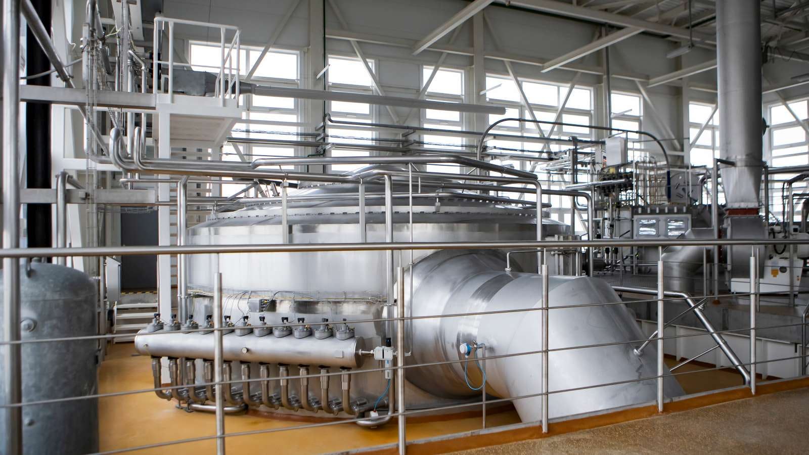 In 5 stappen naar duurzaam opschalen productie van plantaardige proteïnes