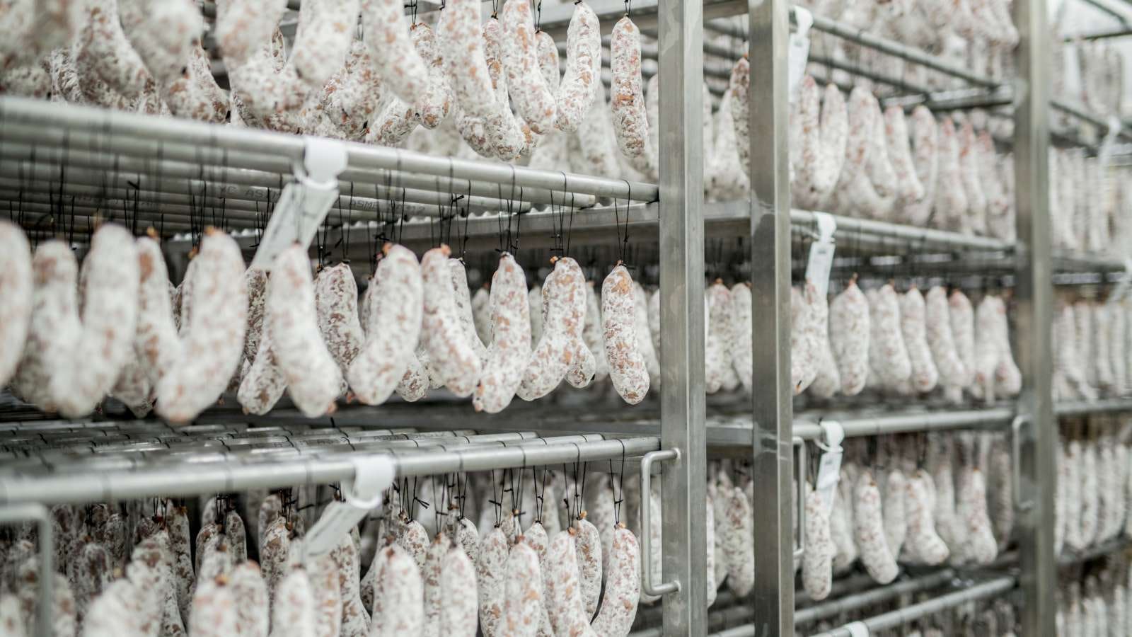 Samuel Levie: "We hebben dieren nodig in het voedselsysteem, alleen minder dan nu"