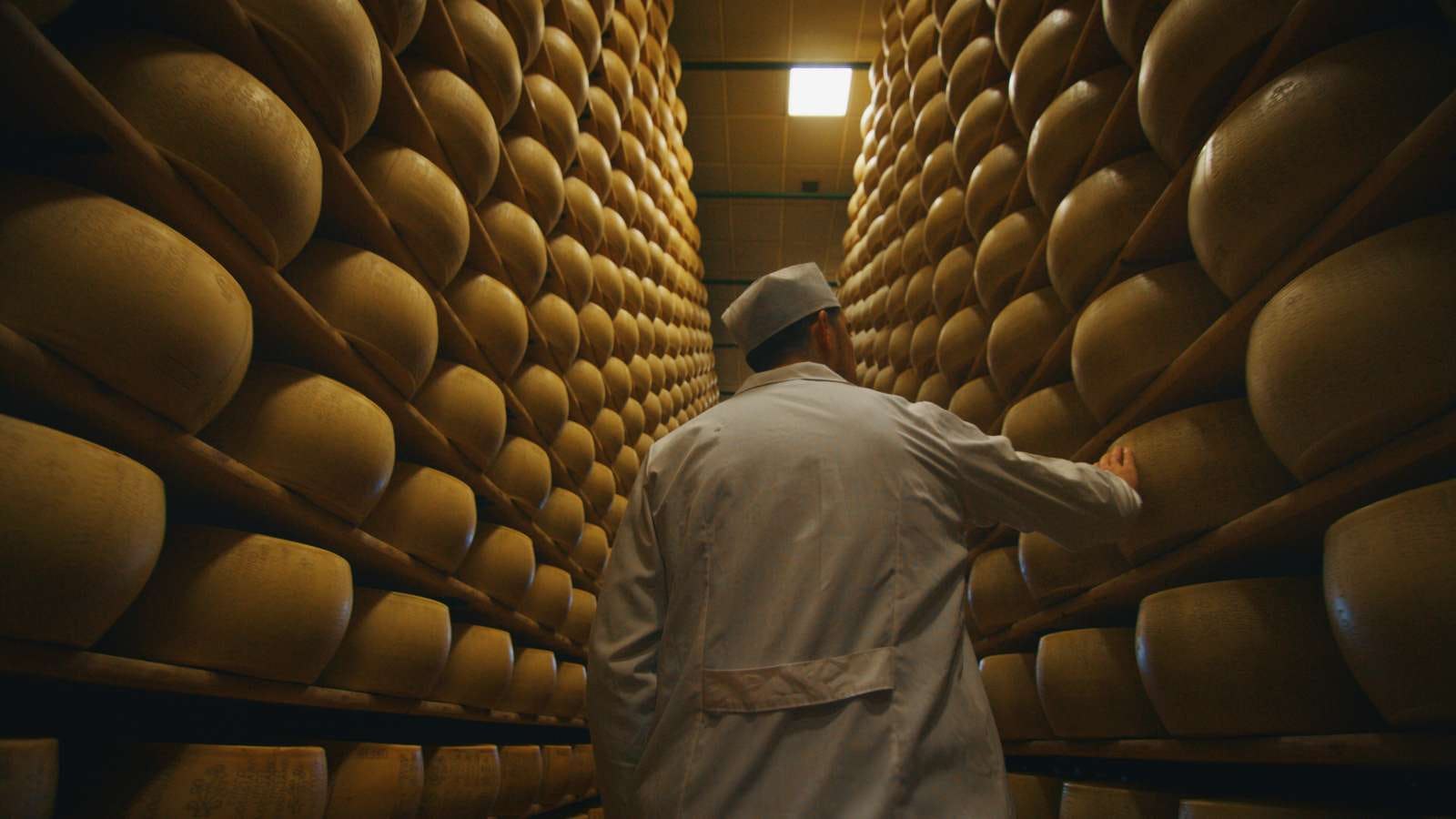 Zijerveld digitaliseert complexe kaasketen