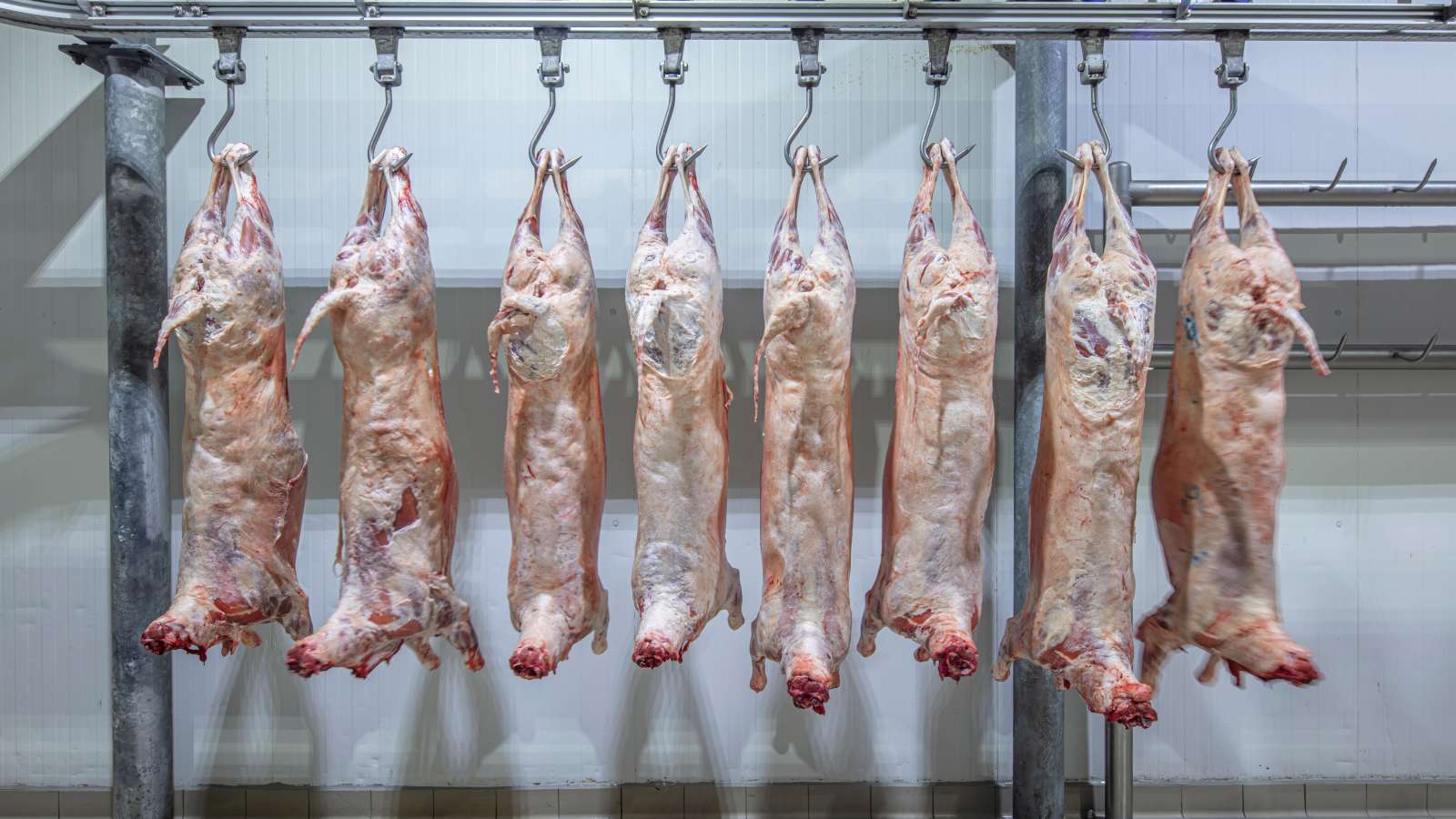 Stockbeeld - Dit is niet de betreffende slachterij