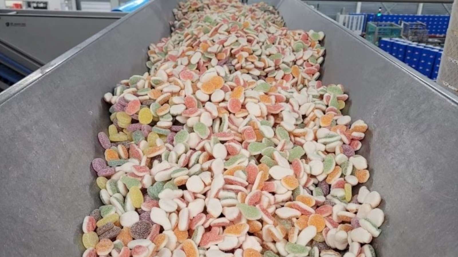 Foto: Tsjollyn Kuperus