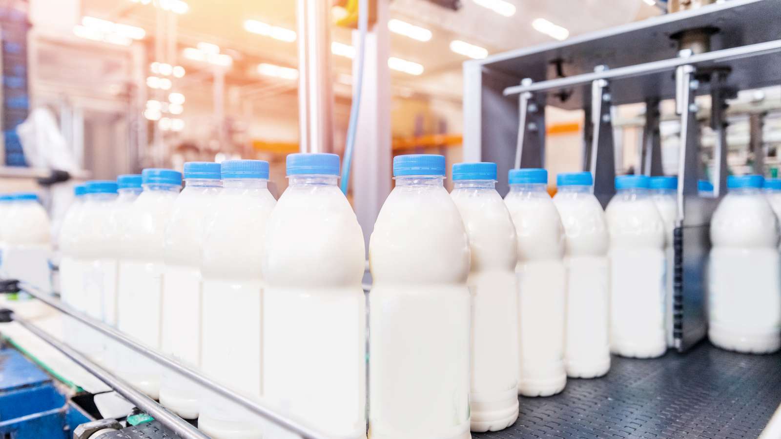 Nieuw schema moet herkomst Nederlandse zuivelproducten borgen