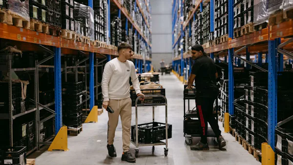 Pieter Pot is failliet verklaard, experts: 'ze spraken een te kleine