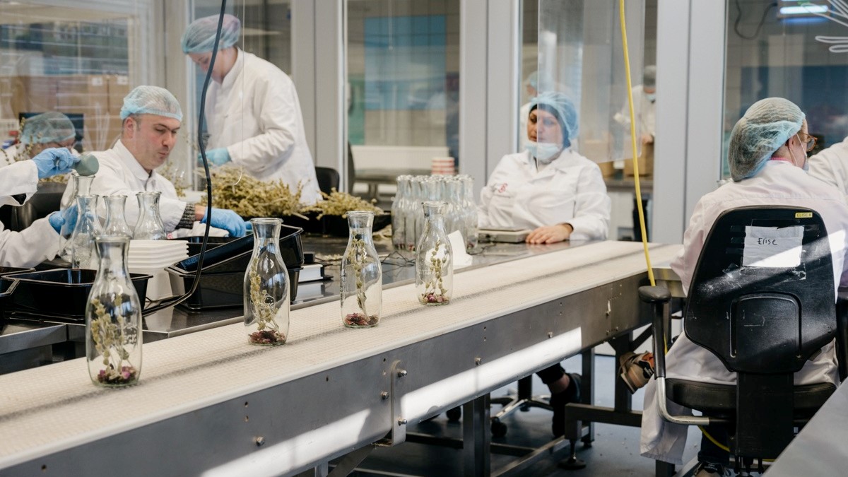 25 mensen met een afstand tot de arbeidsmarkt maken de Pineut producten (Beeld: Pineut)