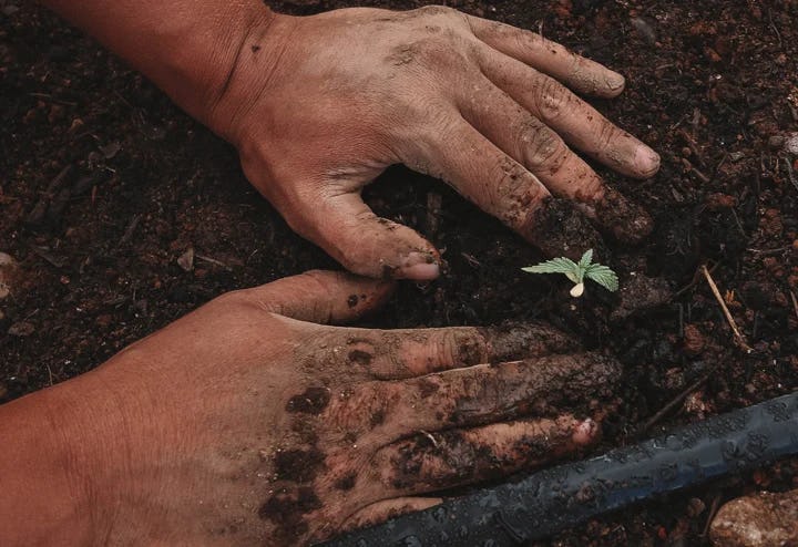 Commentaar: voedselindustrie snakt naar meer consensus over duurzaamheid