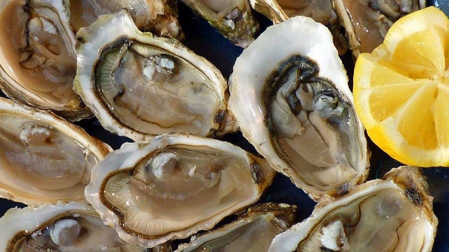 Nooit van gehoord? Sapovirus is een voedselpathogeen!