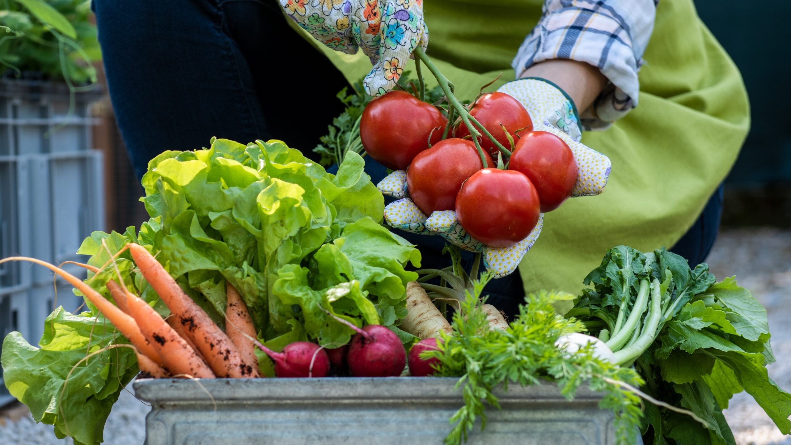 In dit artikel hoe 10 startups werken aan duurzaamheid