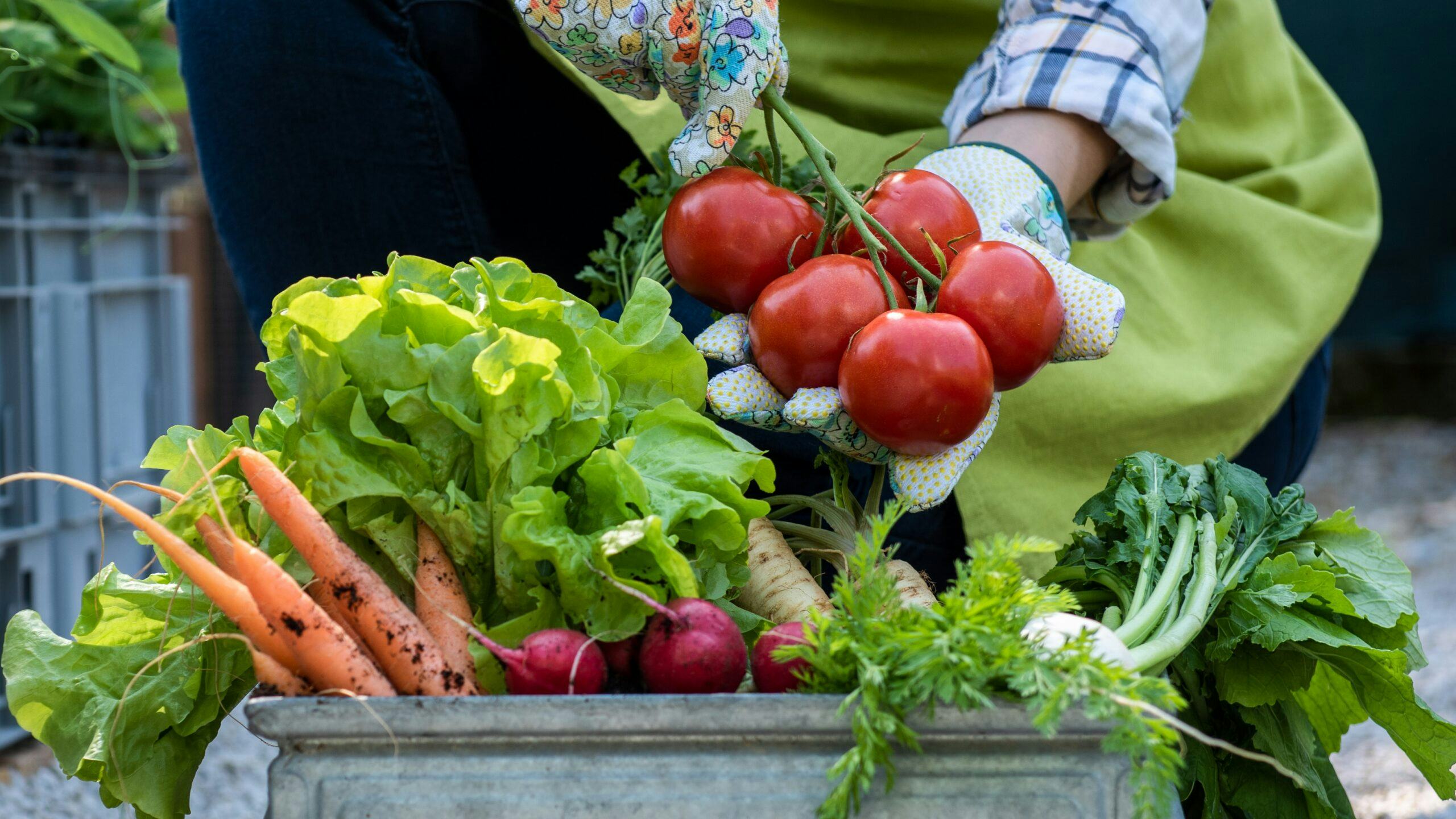 In dit artikel hoe 10 startups werken aan duurzaamheid