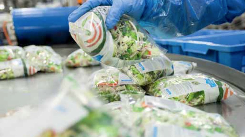 Vegetable processing and water quality: Dutch project researches water reuse and food safety