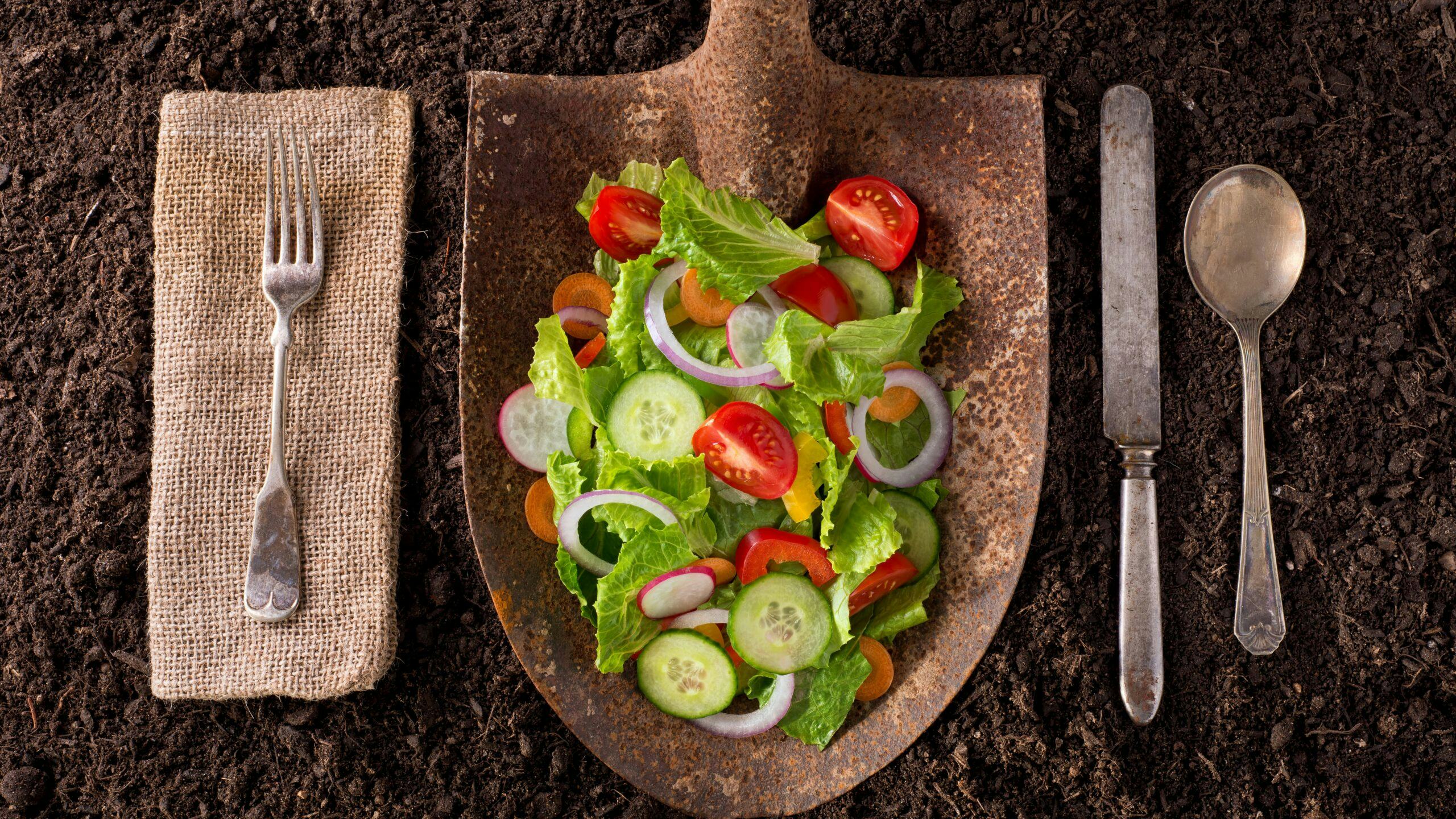 Tijdens het Food Law Event vertelt Isabelle Rollier van de Europese Commissie over de laatste stand van zaken rondom de Farm to Fork strategie