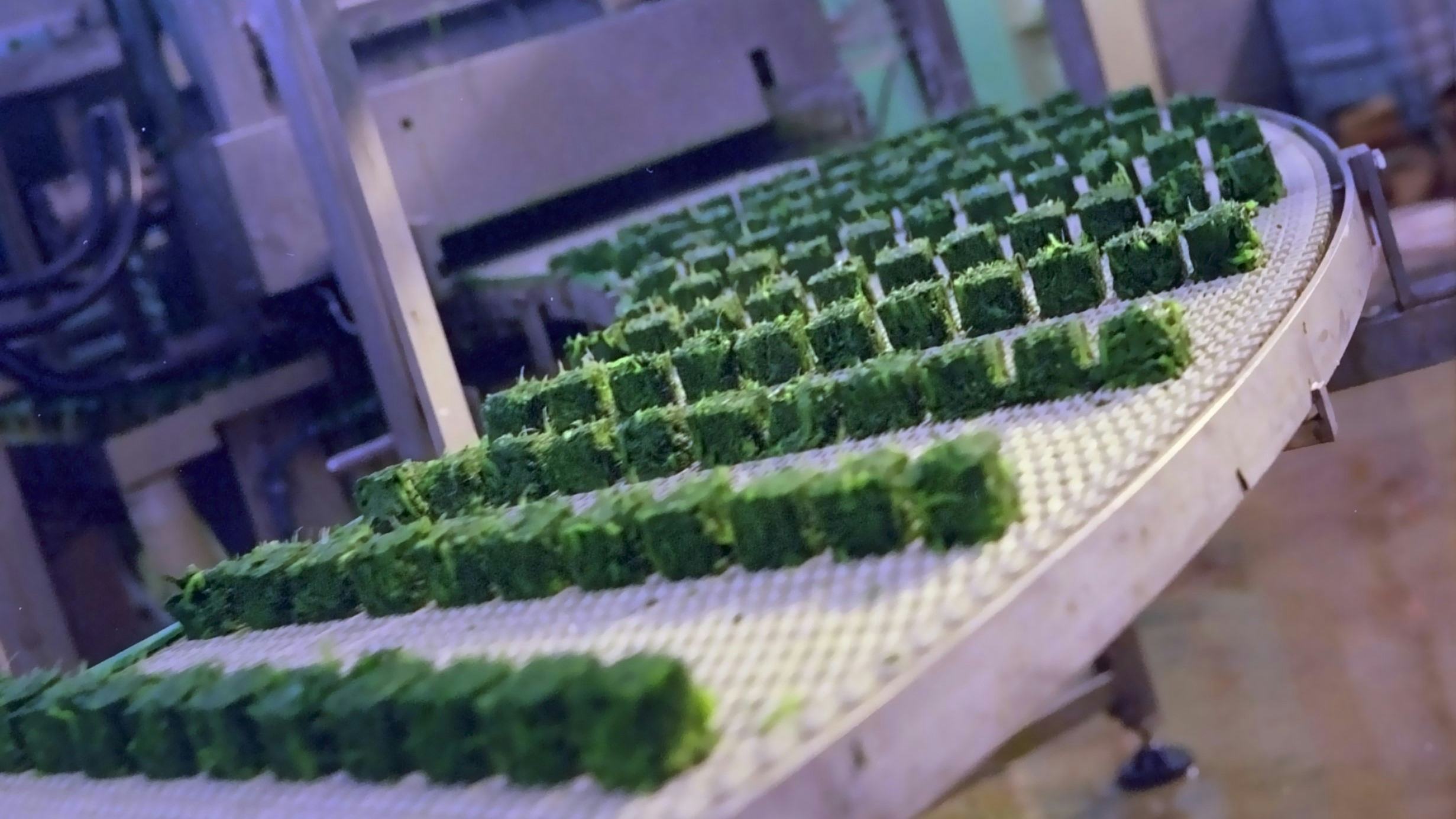 De omzetten in de voedingsindustrie stijgen door de gestegen verkoopprijzen