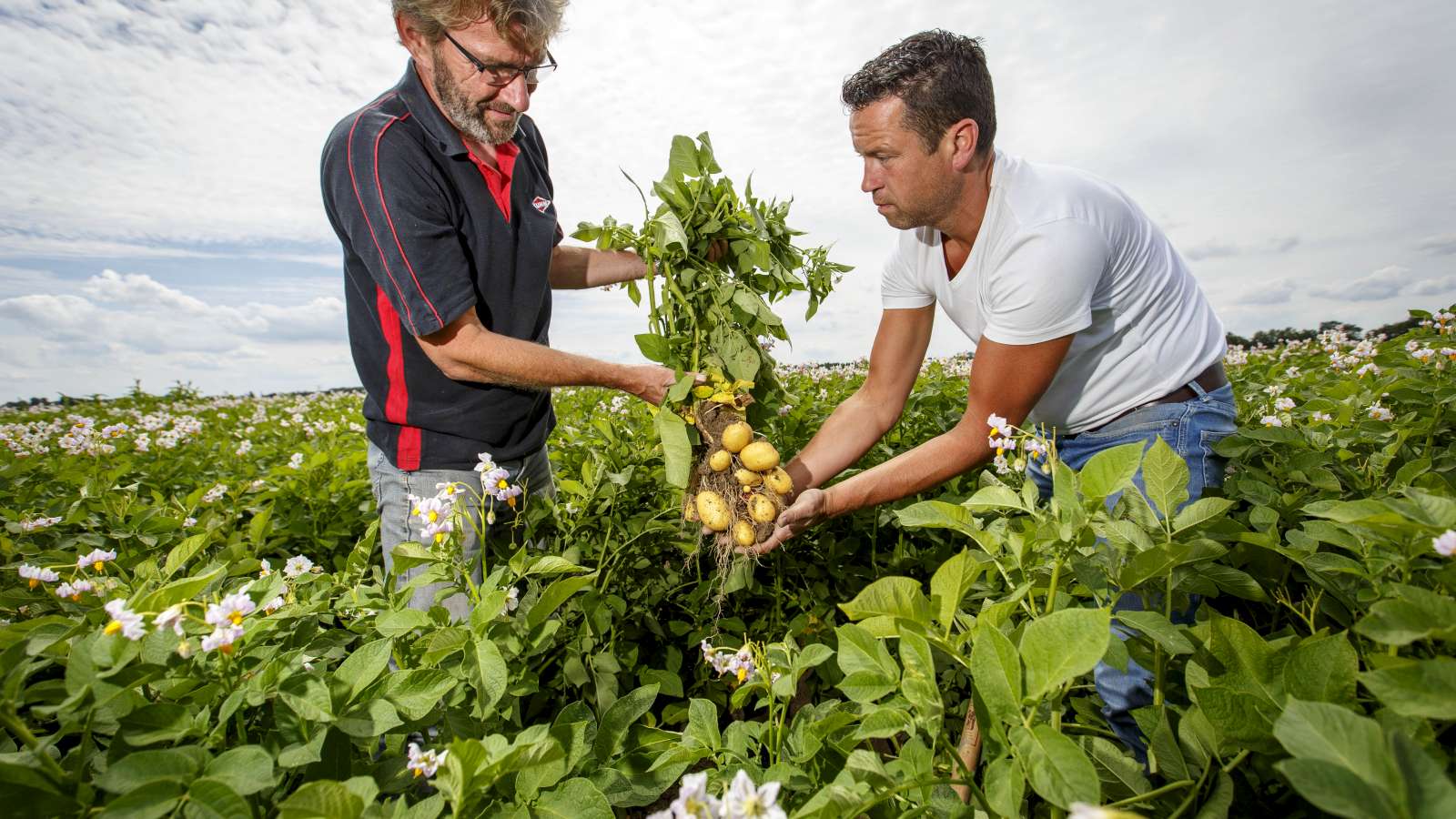 Albert Heijn Wil Van Beter Voor Natuur & Boer Een Topkeurmerk Maken