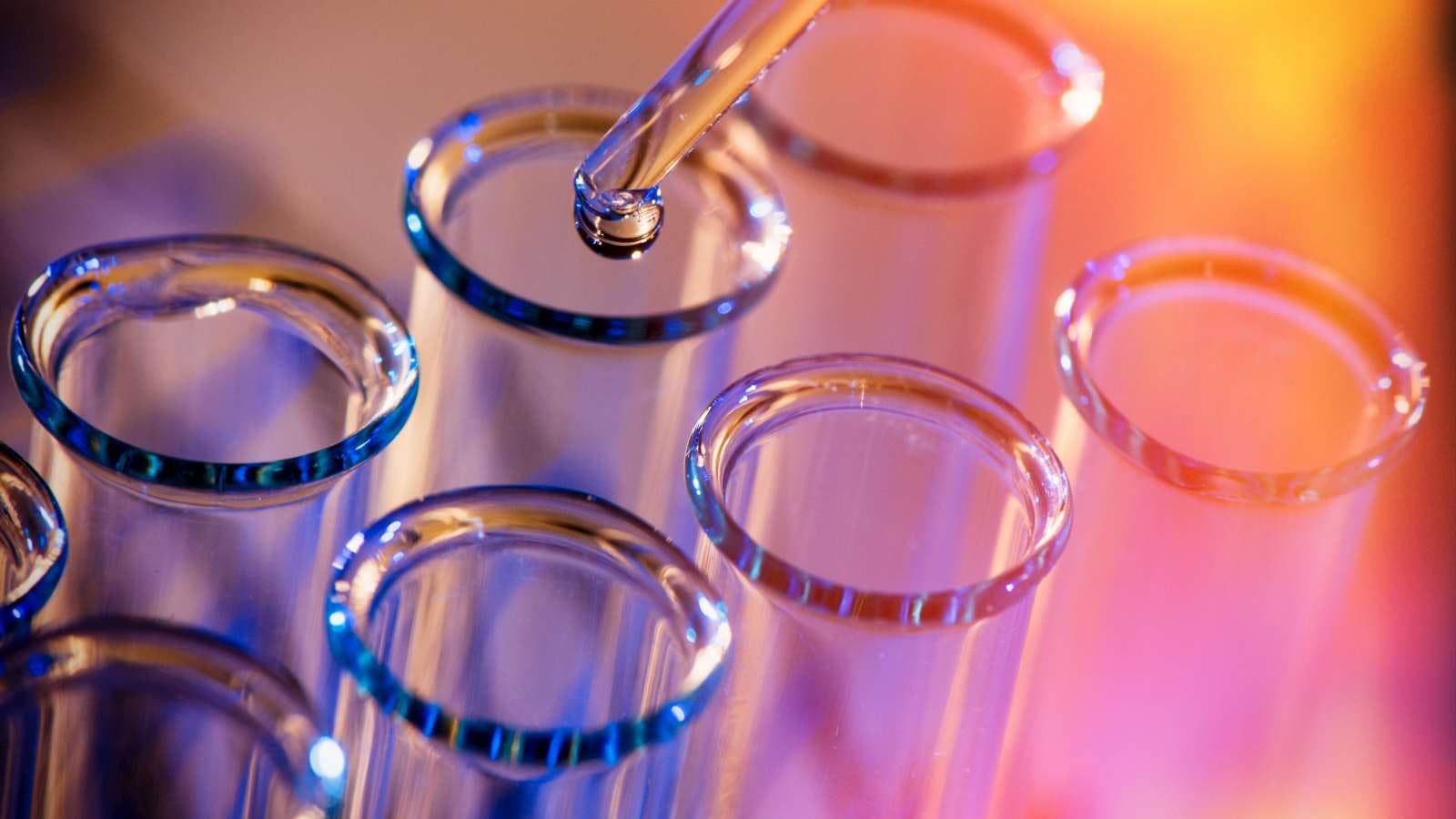 Delft als fermentatiehotspot? DSM investeert in biotechcampus
