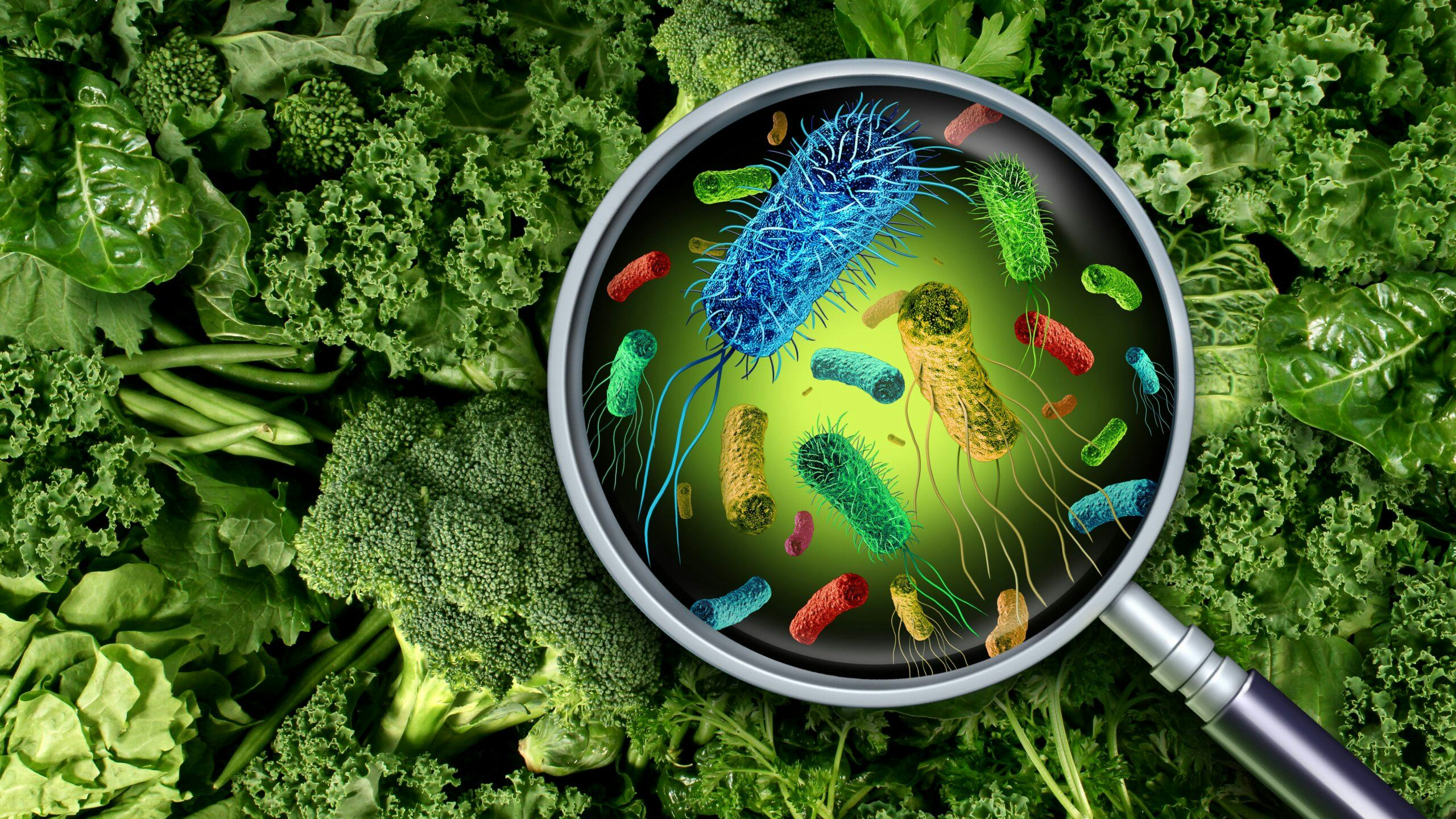 Minister Kuipers informeert in een Kamerbrief over de meest recente beleidsontwikkelingen op gebied van voedselveiligheid