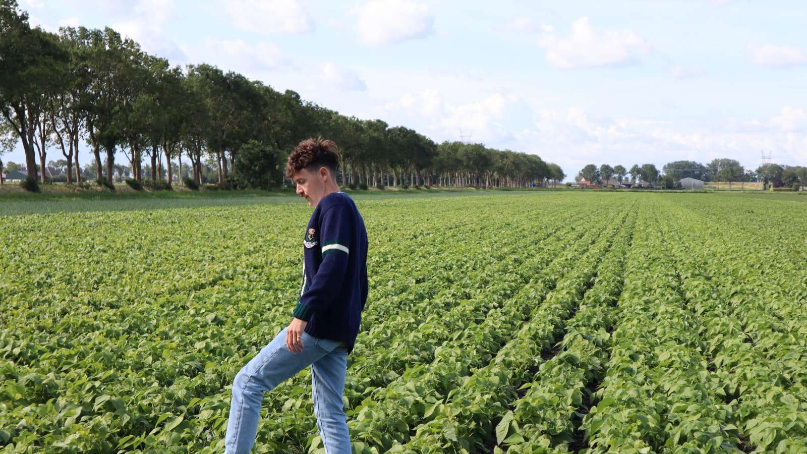 Hoe een bonenboer, een traditionele kaasfabrikant en een vegan kaasproducent samenwerken