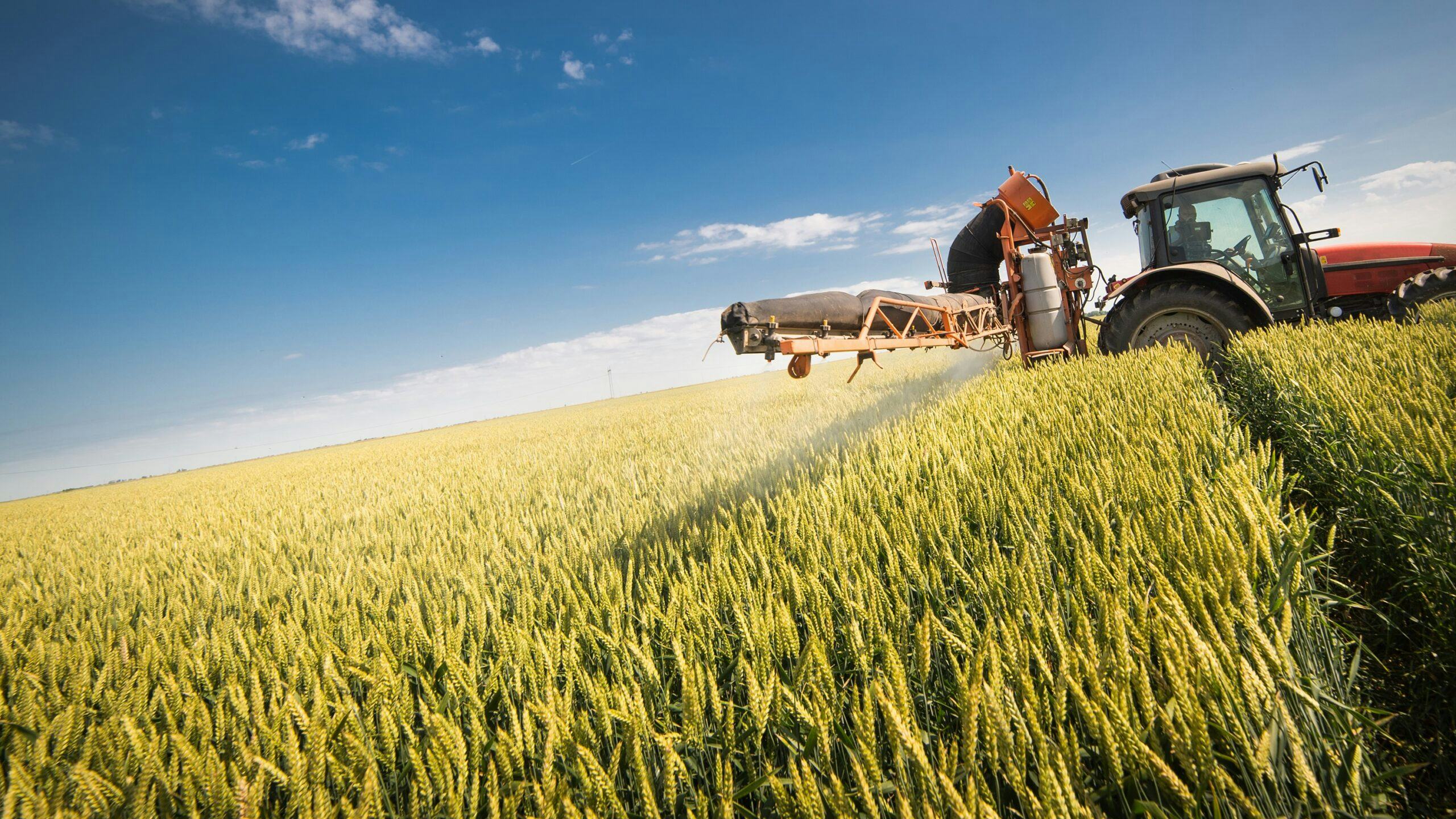 Foodwatch wil dat supermarkten stoppen met verkoop van granen met pesticiden