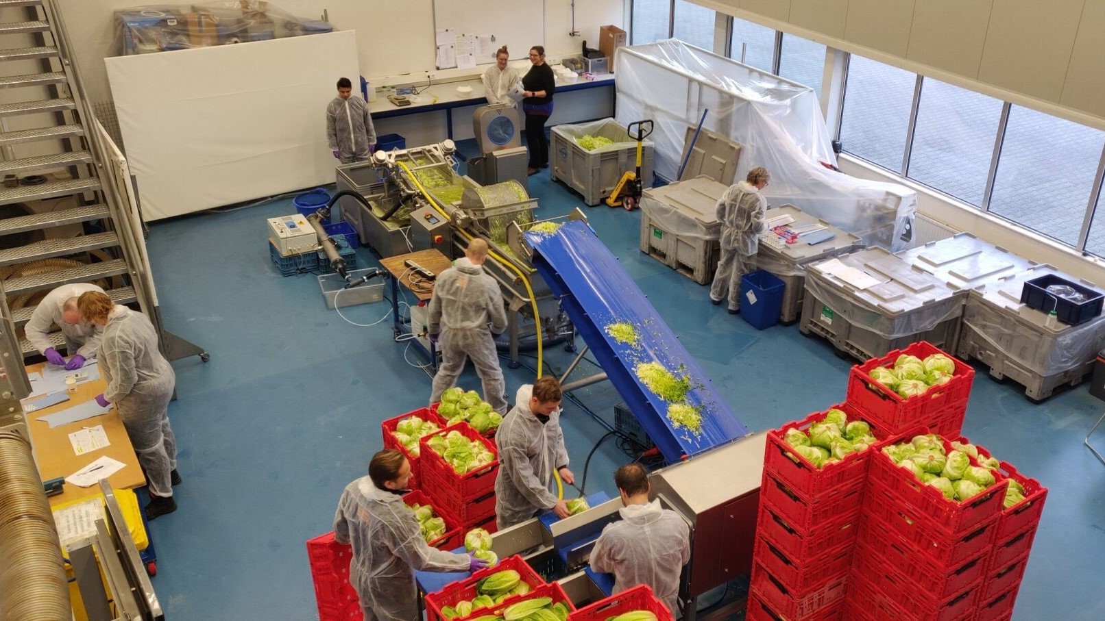 Veilig hergebruik van water in groenteproductie door innovatieve desinfectietechnologie, zoals gedemonstreerd in de Safe and Save Water: Part 2 – The case on Listeria (2021-2023) pilotlijnopstelling. Dit project toont aan hoe groenteverwerkers hun water- en energieverbruik kunnen verminderen.