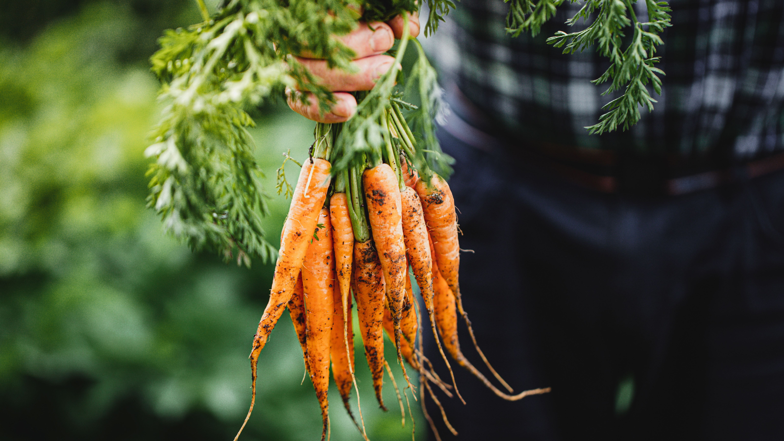 Energie, afval en footprint in de tang houden? AI en digitalisering cruciaal voor foodproducent